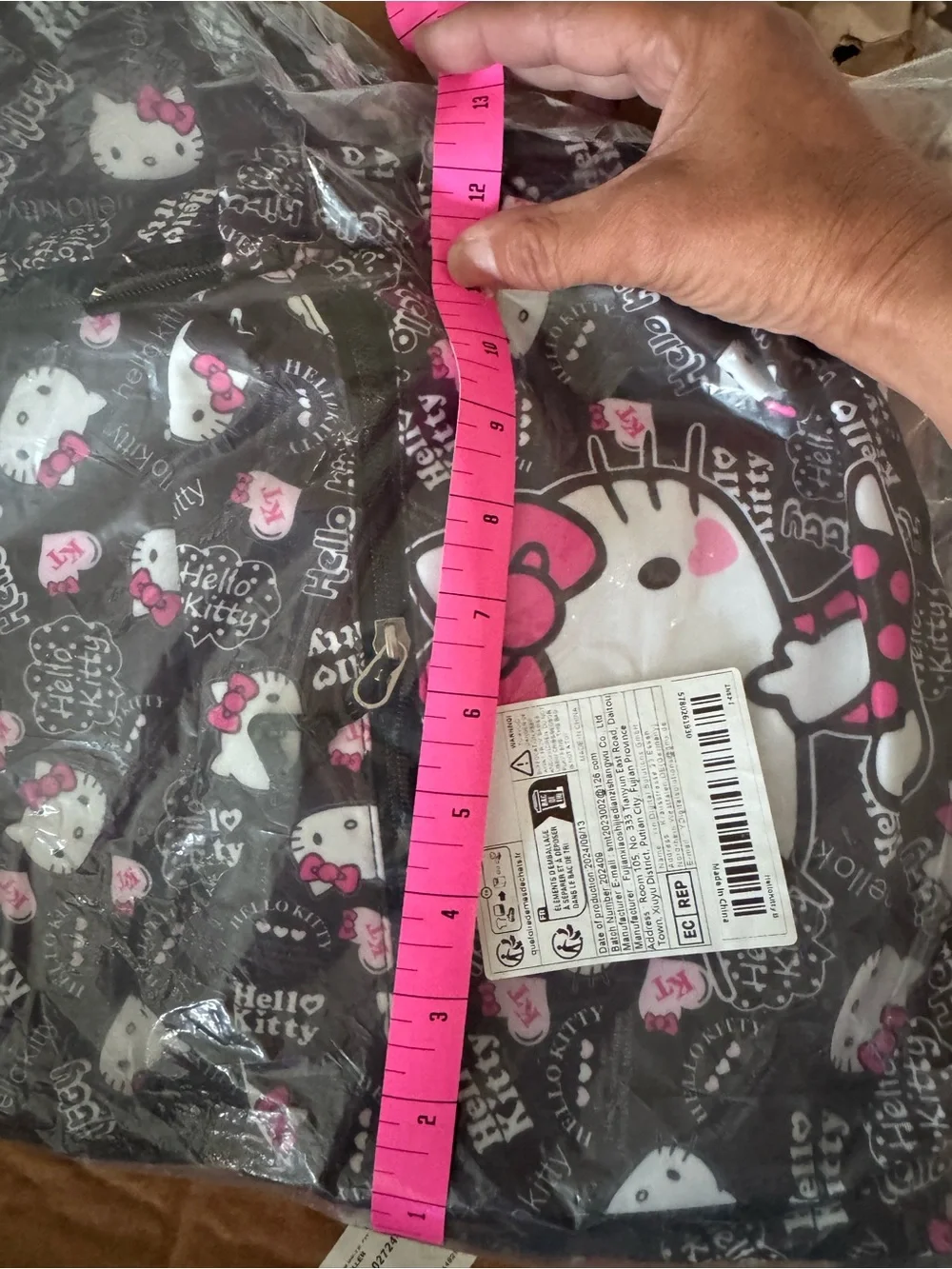 Hello Kitty Black and Pink Kids Backpack with Character Print